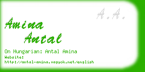 amina antal business card